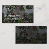 Carte De Visite Pommier Dans la fleur (Devant / Derrière)