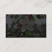 Carte De Visite Pommier Dans la fleur (Dos)