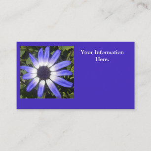 Carte De Visite Pompéi