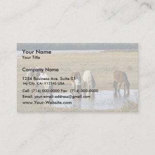 Carte De Visite Poney sauvage