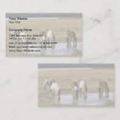 Carte De Visite Poney sauvage (Devant / Derrière)