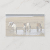 Carte De Visite Poney sauvage (Dos)