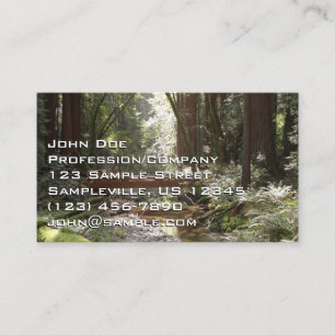 Carte De Visite Pont de Muir Woods II