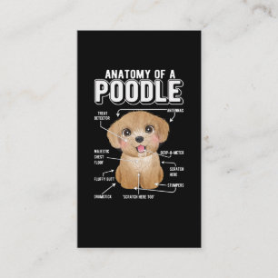 Carte De Visite Poodle Anatomie drôle chien