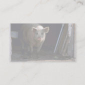 Carte De Visite Porc (Dos)