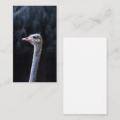 Carte De Visite portrait d'autruche (Devant / Derrière)