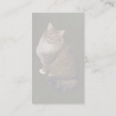 Carte De Visite Portrait de chat Maine Coon (Dos)