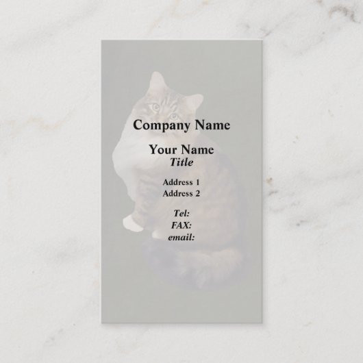 Carte De Visite Portrait de chat Maine Coon (Devant)