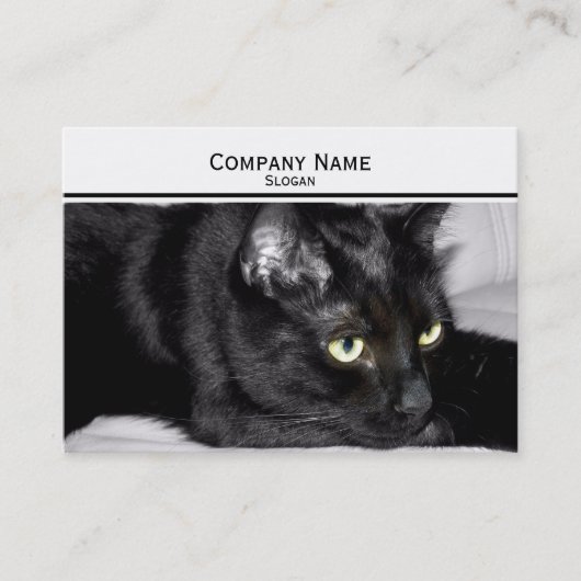 Carte De Visite Portrait de chat noir mignon (Devant)