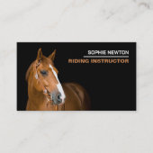 Carte De Visite Portrait de cheval, Instructeur d'équitation, Acad (Devant)