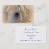 Carte De Visite Portrait du cheval blanc (Devant / Derrière)