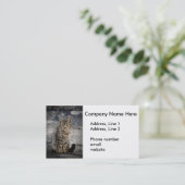Carte De Visite Portrait d'un chat (Debout devant)