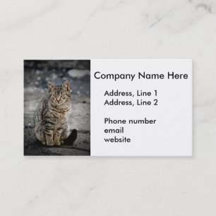Carte De Visite Portrait d'un chat