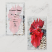 Carte De Visite Portrait d'un coq (Devant / Derrière)