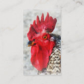 Carte De Visite Portrait d'un coq (Dos)