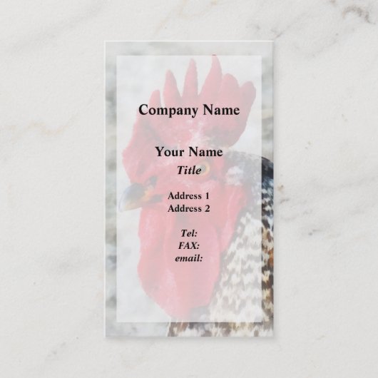 Carte De Visite Portrait d'un coq (Devant)