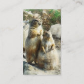 Carte De Visite Portrait formel de chien de prairie (Dos)