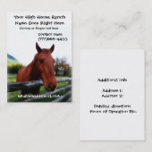 Carte De Visite Portrait photographique de cheval Brown (Devant / Derrière)