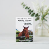 Carte De Visite Portrait photographique de cheval Brown (Debout devant)