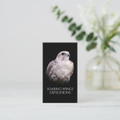 Carte De Visite Portrait signé d'un faucon de Saker curieux (Debout devant)