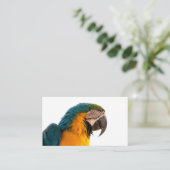 Carte De Visite Post-it Notes perroquet (Debout devant)