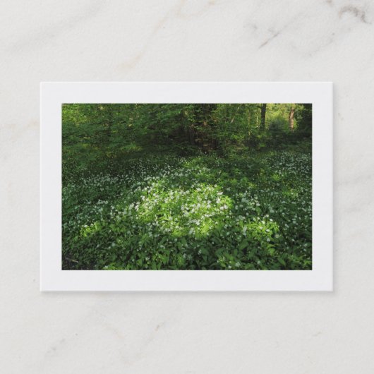 Carte De Visite Pot d'ail (frontière) (Devant)