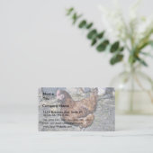 Carte De Visite Poule Brown sur l'arrière cour (Debout devant)