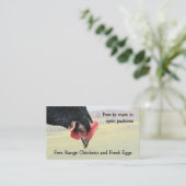 Carte De Visite Poule libre de noir de gamme (Debout devant)