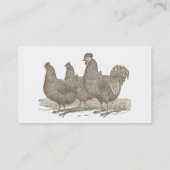 Carte De Visite Poulets de roche de Plymouth, coq (Dos)