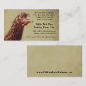 Carte De Visite Poulette de poulet de rouge d'île de Rhode - (Devant / Derrière)