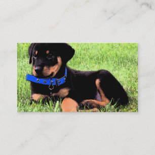 Carte De Visite poupée rottweiler