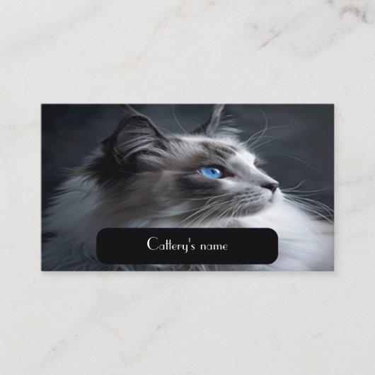 Carte de visite Pour Catteries Ragdoll Chat (Devant)