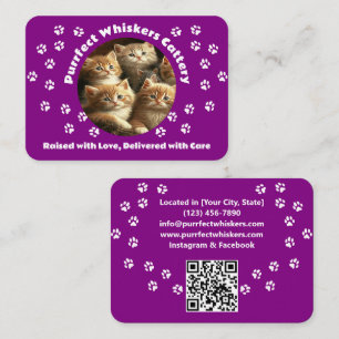 Carte de visite pour élevage de chats personnalisé