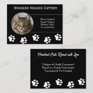 Carte de visite pour élevage de chats personnalisé