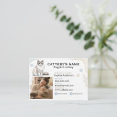 Carte de visite pour élevage de chats Ragdoll pers (Debout devant)