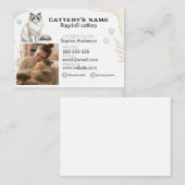 Carte de visite pour élevage de chats Ragdoll pers (Devant / Derrière)
