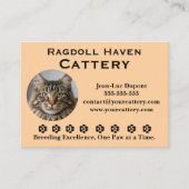 Carte de visite pour élevage de chats Ragdoll pers (Devant)