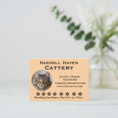 Carte de visite pour élevage de chats Ragdoll pers (Debout devant)
