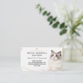 Carte de visite pour éleveur de chats Ragdoll de l (Debout devant)