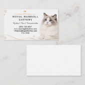 Carte de visite pour éleveur de chats Ragdoll de l (Devant / Derrière)