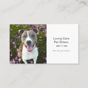 Carte de visite pour entreprise de garde d'animaux