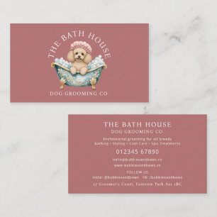 Carte de visite pour entreprise de toilettage de C