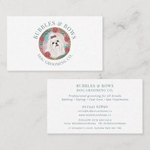 Carte de visite pour le toilettage de chiens malta