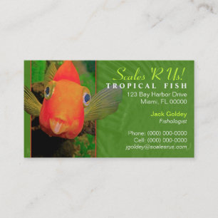 Carte de visite pour poissons tropicaux
