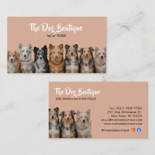 Carte de visite pour toiletteur d'animaux domestiq