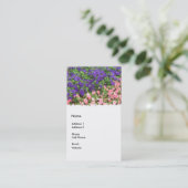 Carte De Visite pourpre et rose (Debout devant)