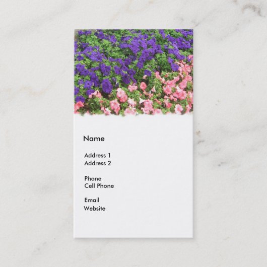Carte De Visite pourpre et rose (Devant)