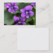 Carte de visite pourpre humide de violettes (Devant / Derrière)