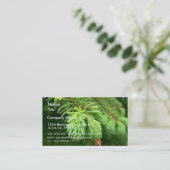 Carte De Visite Pousses de sapin rouge (Debout devant)