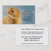 Carte De Visite Poussin d'un jour - couches ou ferme de poulets à (Devant / Derrière)